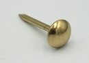 Tæppesøm Ø3,0x30 mm m/Ø14 mm hoved, messingfarvet (10 stk)