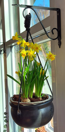 Hyldeknægt 242x190x30 mm, sortmalet metal - 2. sortering