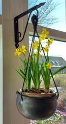 Hyldeknægt 242x190x30 mm, sortmalet metal - 2. sortering