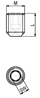 Pinolskrue med flad ende, rustfri stål (A2)