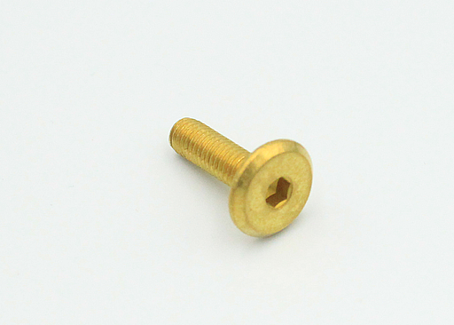 Messingbolt M6x20 mm, mat
