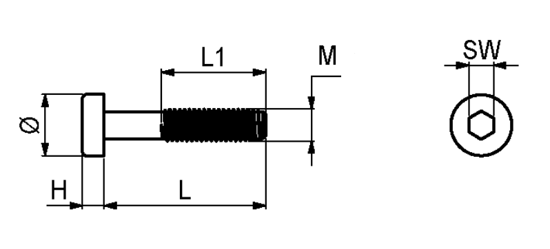 Bolt M4x55 mm, elgalvaniseret