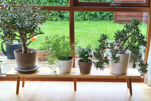 Møbelben til skabe Ø35x200 mm incl. beslag til montering, teakbejdset asketræ